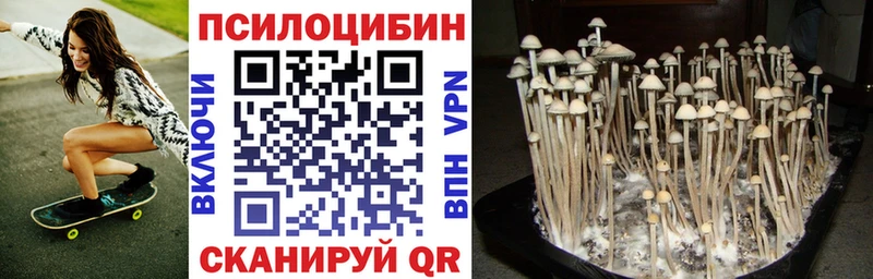 Галлюциногенные грибы мицелий  Никольск 